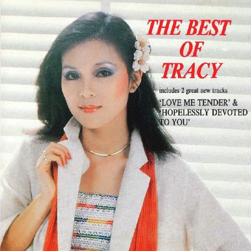 The Best Of Tracy Huang