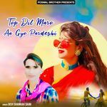 Kathey Rakhu Thari Chunni Lal artwork
