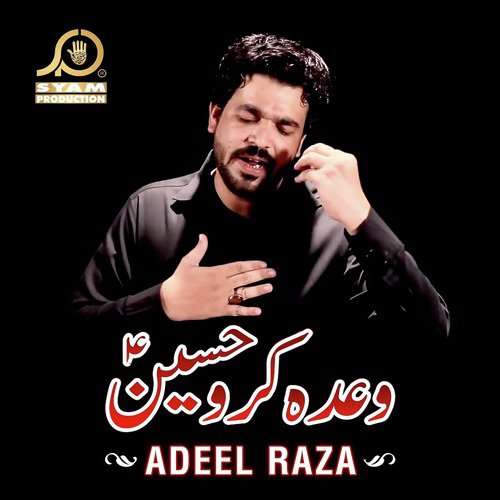 Adeel Raza