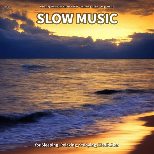 #01 Slow Music for Sleeping, Relaxing, Studying, Meditation_poster_image