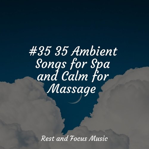 #35 35 Ambient Songs for Spa and Calm for Massage