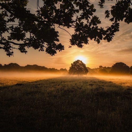 40 Peaceful and Sleep Tracks for Spa and Mindfulness