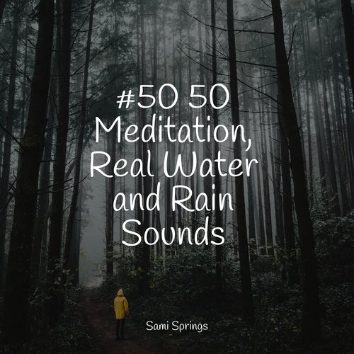 #50 50 Meditation, Real Water and Rain Sounds_poster_image