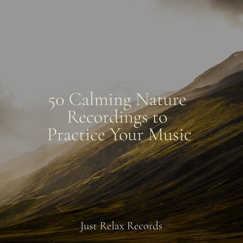 50 Calming Nature Recordings to Practice Your Music