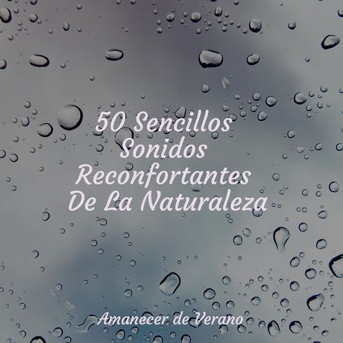 50 Sencillos Sonidos Reconfortantes De La Naturaleza