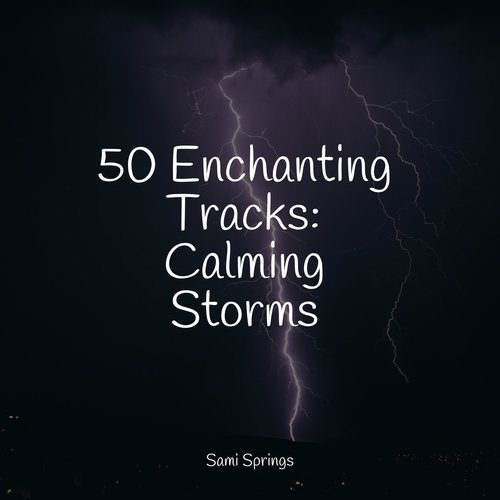 50 Soothing Ambient Rain Tracks_poster_image