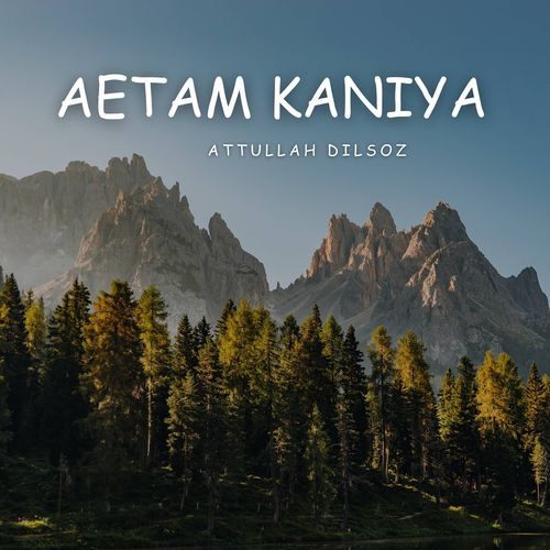 Aetam Kaniya