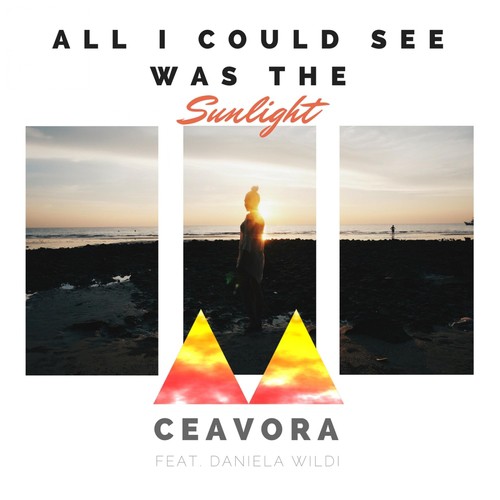 All I Could See Was the Sunlight (feat. Daniela Wildi)