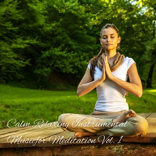 Calm Relaxing Instrumental Music for Meditation Vol. 1_poster_image