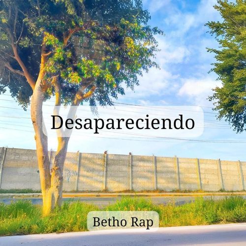 Desapareciendo