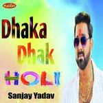 Dale Da Na Rang Dhaka Dhak Ho