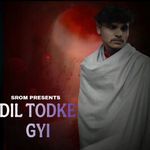 Dil Todke Gyi