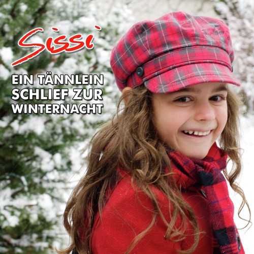 Ein Tännlein schlief zur Winternacht