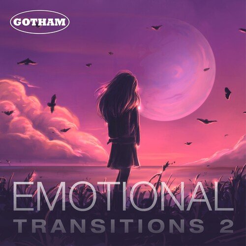 Emotional Transitions 2_poster_image