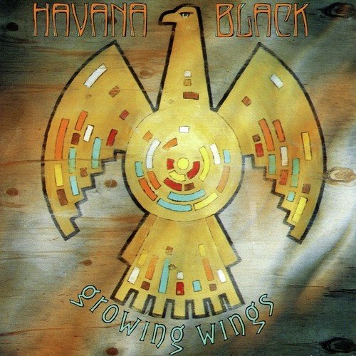 Havana Black