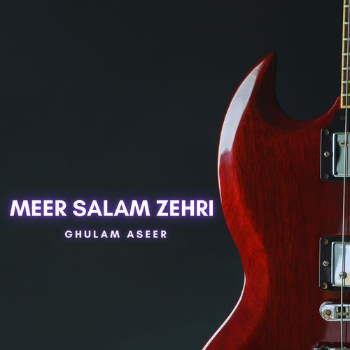 Meer Salam Zehri