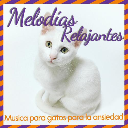 Canciones de cuna para dormir gatos