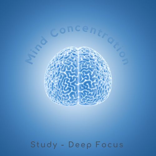 Mind Concentration_poster_image