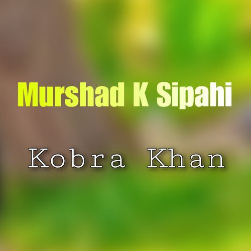 Murshad K Sipahi