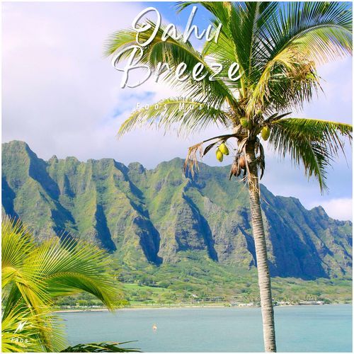 Oahu Breeze