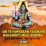 Om Triyambakam Yajamahe - Mahamrityunjaya Mantra