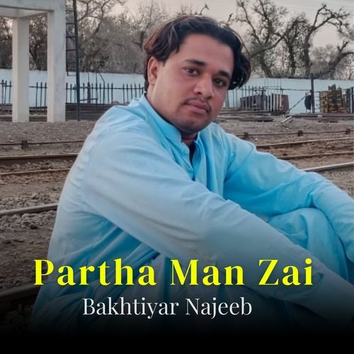 Partha Man Zai