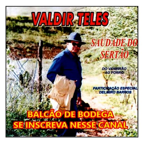 Vanerão improvisado (participação especial: Delmiro Barros) - VALDIR TELES cover art