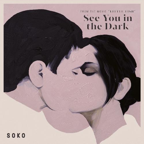 See You in the Dark (From &quot;Little Fish&quot; Soundtrack)_poster_image