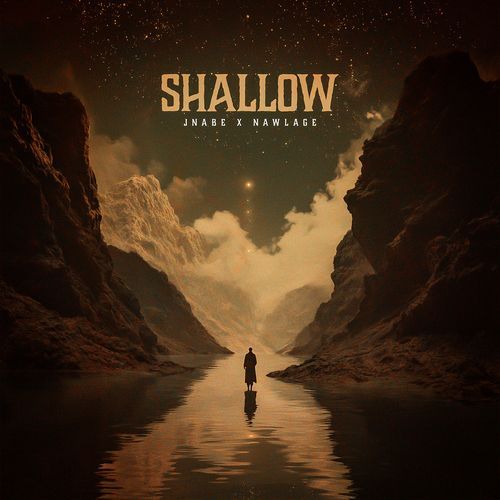 Shallow (Live)_poster_image