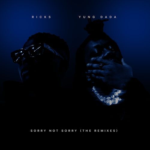 Sorry Not Sorry (Mix)
