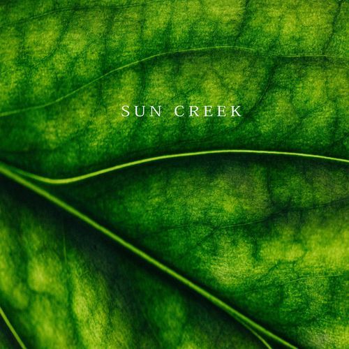 Sun Creek cover art