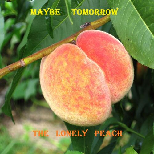 Maybe Tomorrow cover art