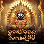 Tulasi Chandan To Pain Niti