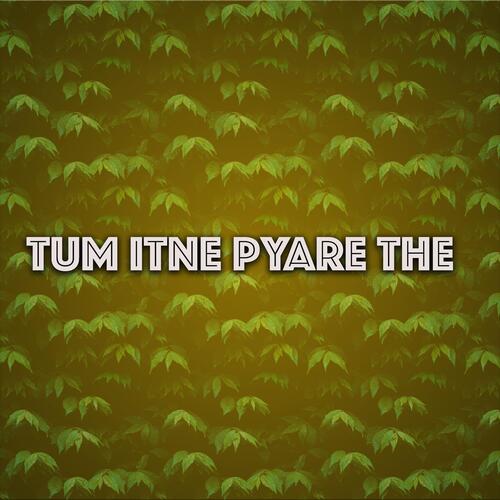 Tum Itne Pyare The (Reprise Version)