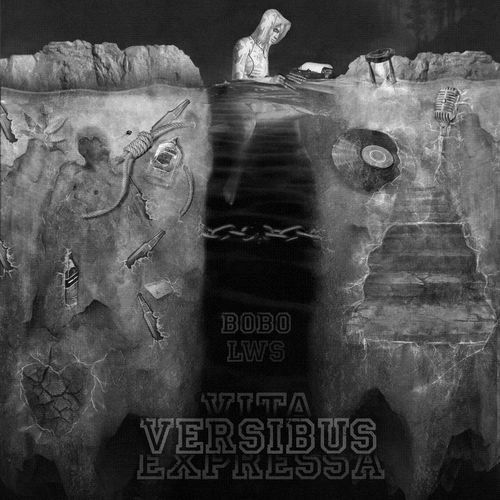 VITA VERSIBUS EXPRESSA