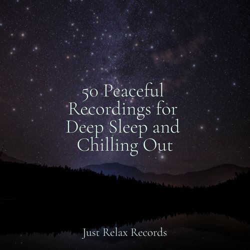 50 Peaceful Recordings for Deep Sleep and Chilling Out