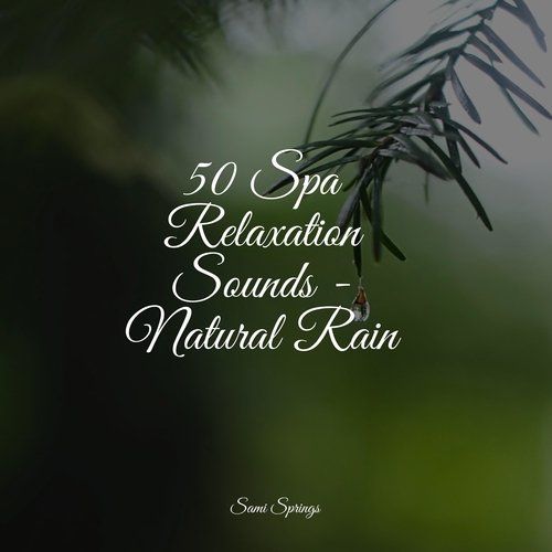 50 Spa Relaxation Sounds - Natural Rain