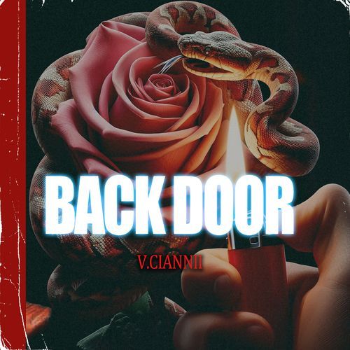 Back Door_poster_image