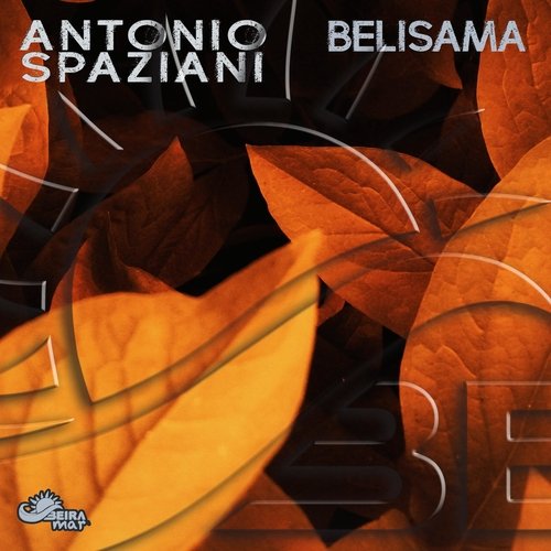 Shannon cover art