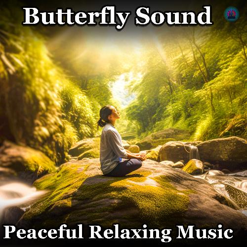 Butterfly Sound: Peaceful Relaxation, Positive Aura Cleansing, Calm Meditation Music