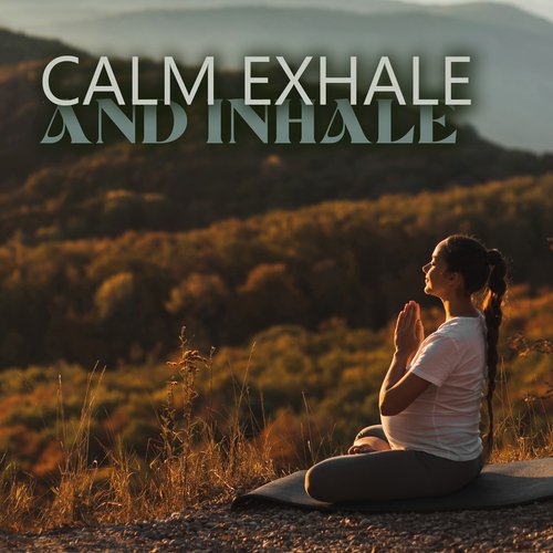 Calm Exhale and Inhale: Music That Will Help You Relieve Stress and Make You Feel Less Anxious during Pregnancy_poster_image