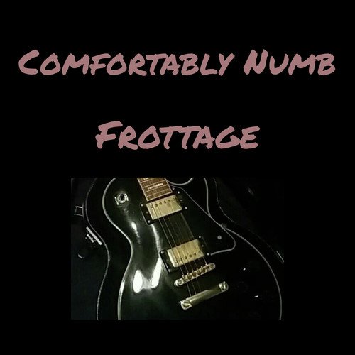 Comfortably Numb Download Song From Comfortably Numb Jiosaavn