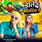 Dale Da Bhitariya Me
