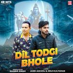 Dil Todgi Bhole