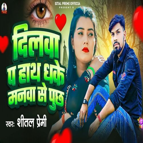 Dilwa Pa Hath Dhake Manwa Se Pucha