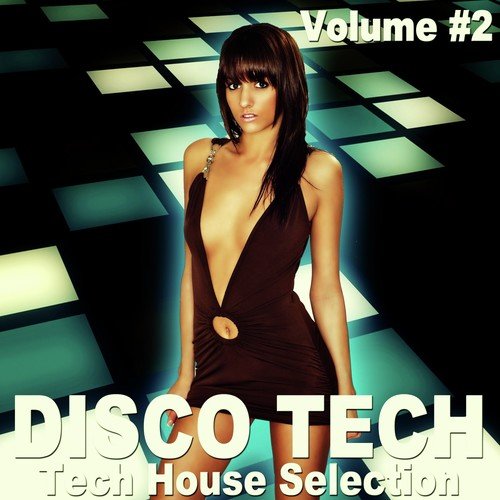 Disco Tech, Vol. 2 (Tech House Selection)