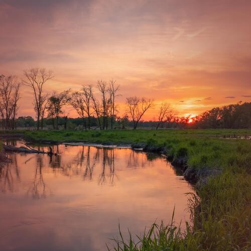 Frogs and River Sounds with Birds for Meditation and Relaxation