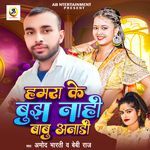 Hamara Ke Bujha Nahi Babu Anari