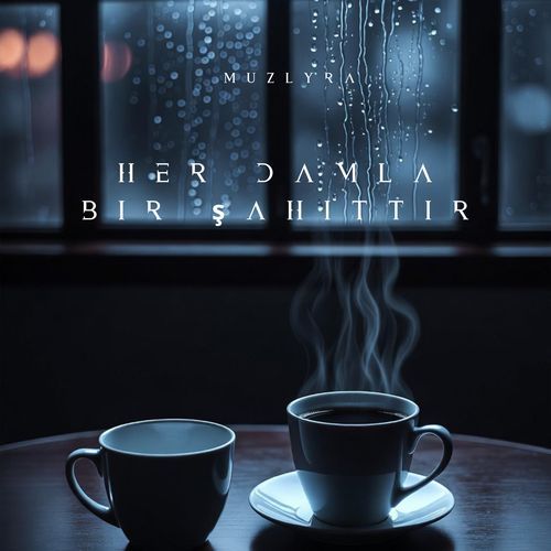 Her Damla Bir Şahittir cover art