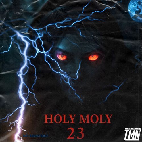 Shit Sir cover art